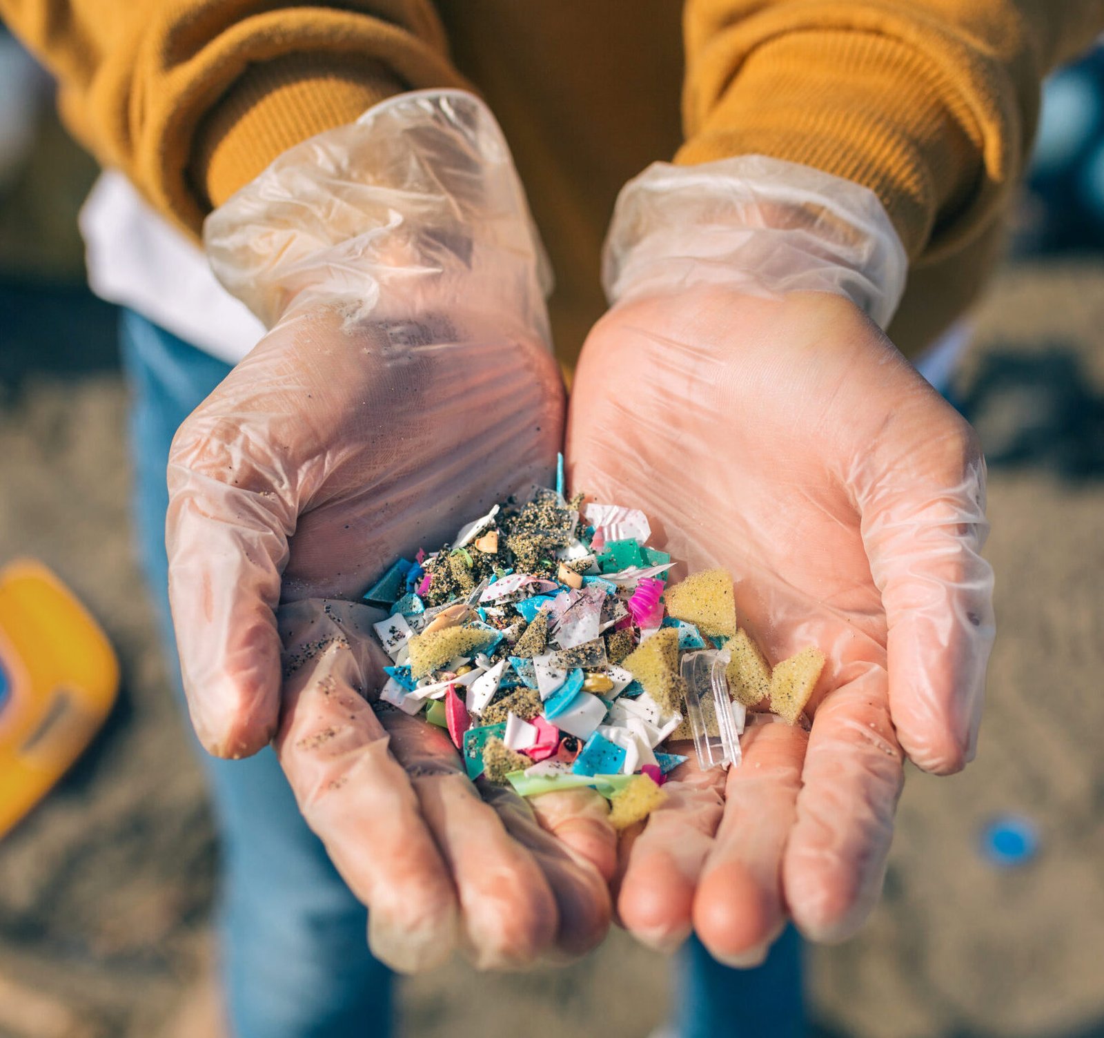 DRA SOLEDADANDRES PHIMED VALENCIA MICROPLASTICOS