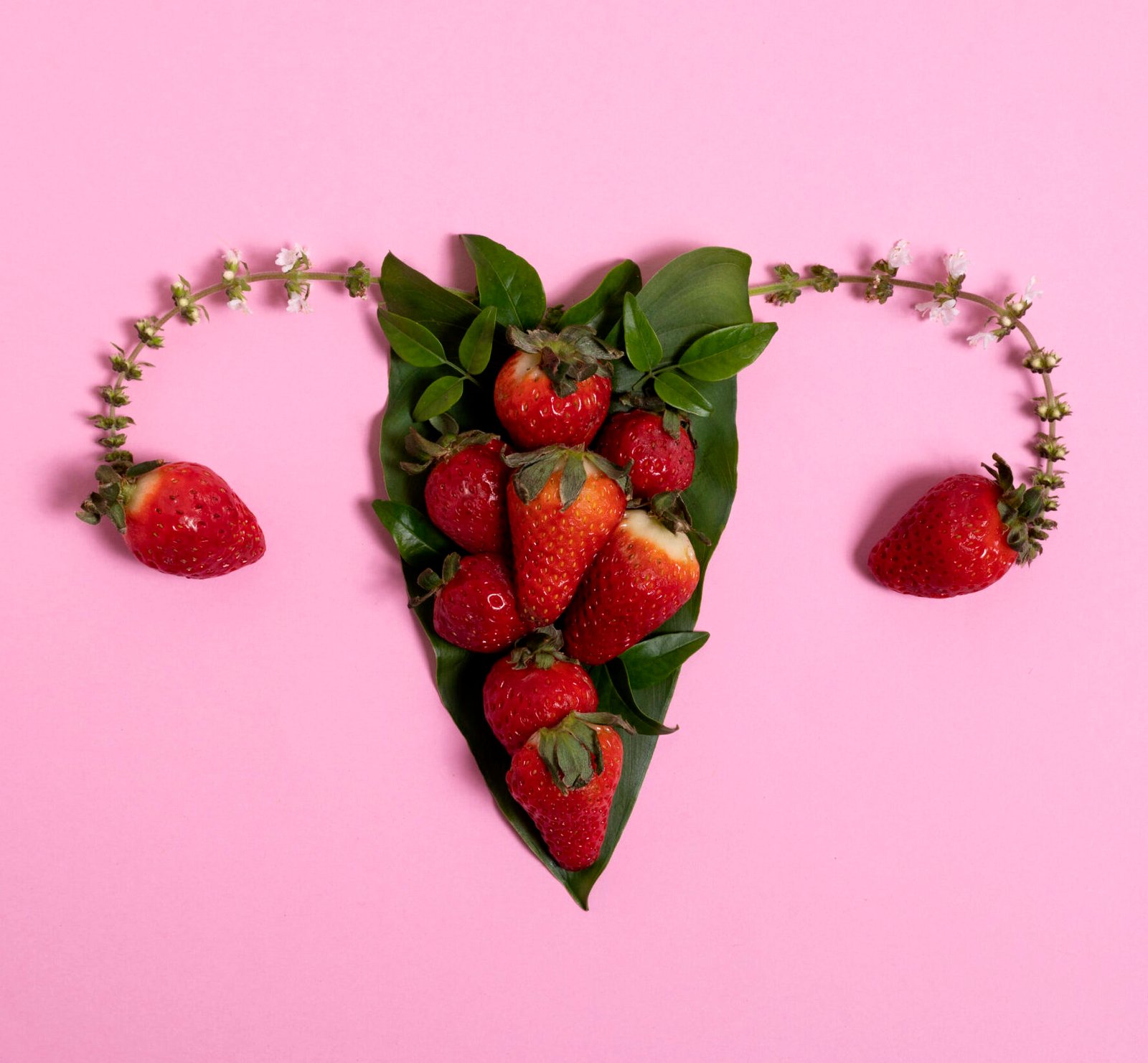 XENOSTROGENOS SALUD MUJER DRA ANDRES PHIMED VALENCIA