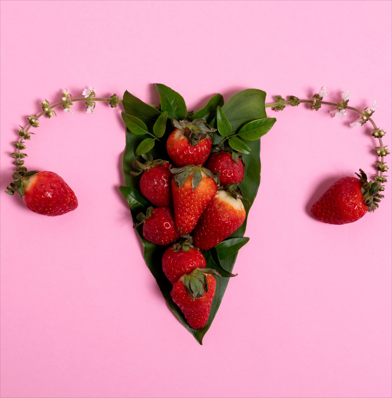 XENOSTROGENOS-DRA-ANDRES-VALENCIA-PHIMED